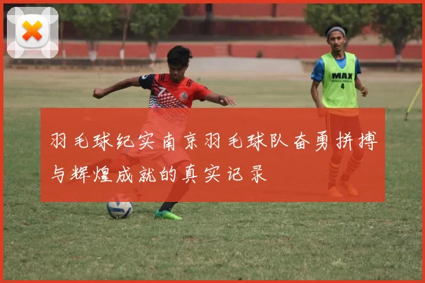 羽毛球纪实南京羽毛球队奋勇拼搏与辉煌成就的真实记录