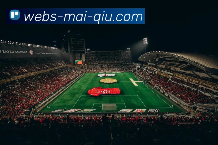 买球官网发展历程